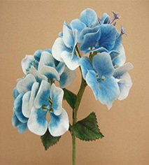 Cold Porcelain Hydrangea Workshop