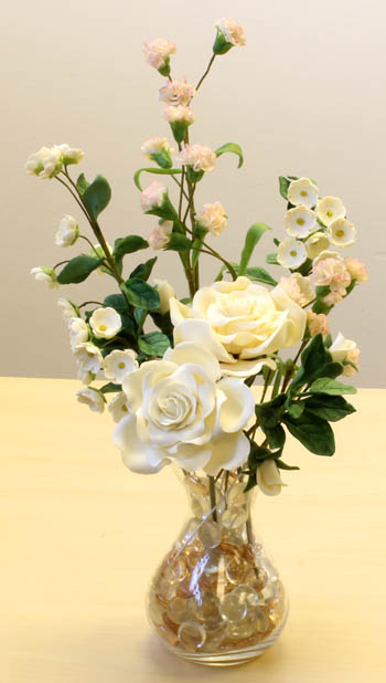 Cabbage Rose and Blossom DVD