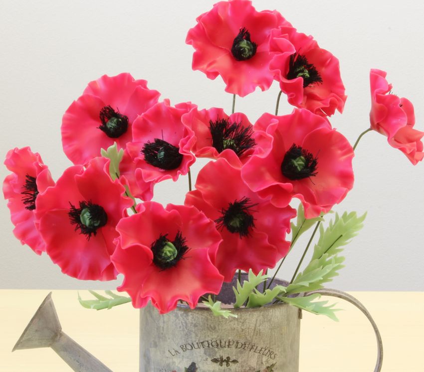Poppy DVD